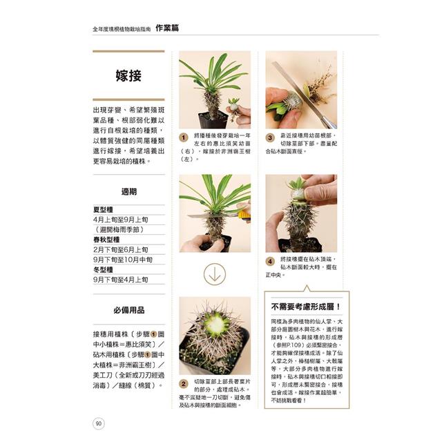 全年度塊根植物栽培基礎書 7