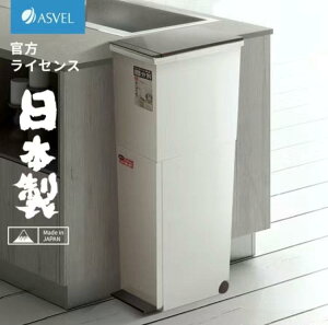 垃圾桶 日本進口ASVEL雙層分類垃圾桶家用大號 廚房干濕分離日式大垃圾箱