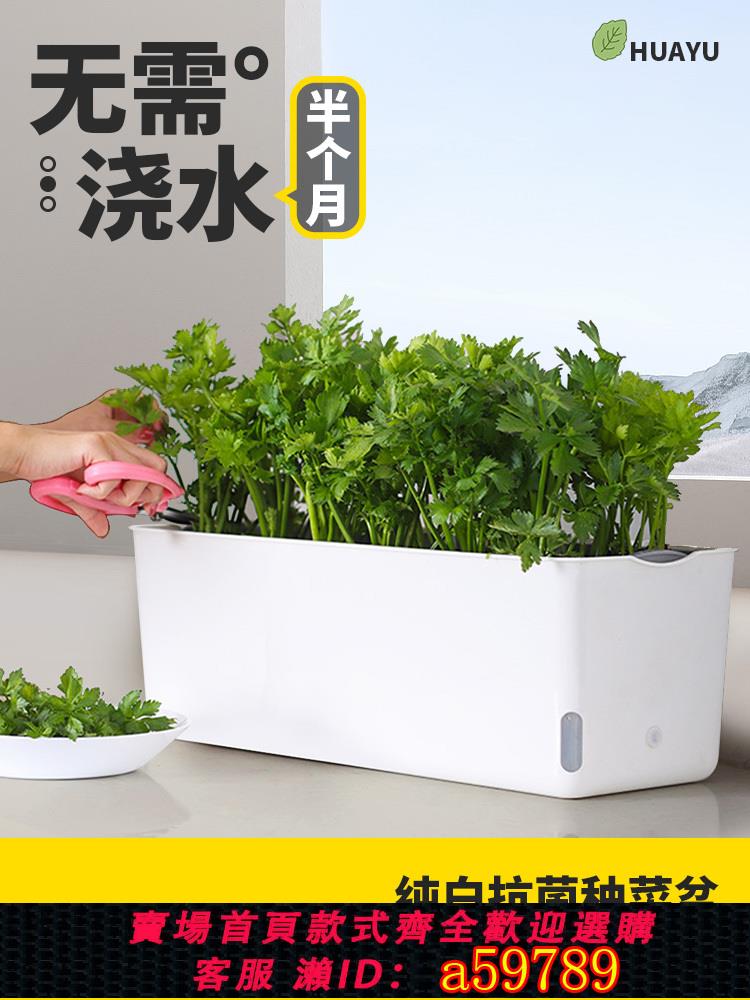 【臺灣公司 可打統編】家庭陽臺懶人長方形自吸水種菜盆專用蔬菜種植箱種菜神器花盆塑膠