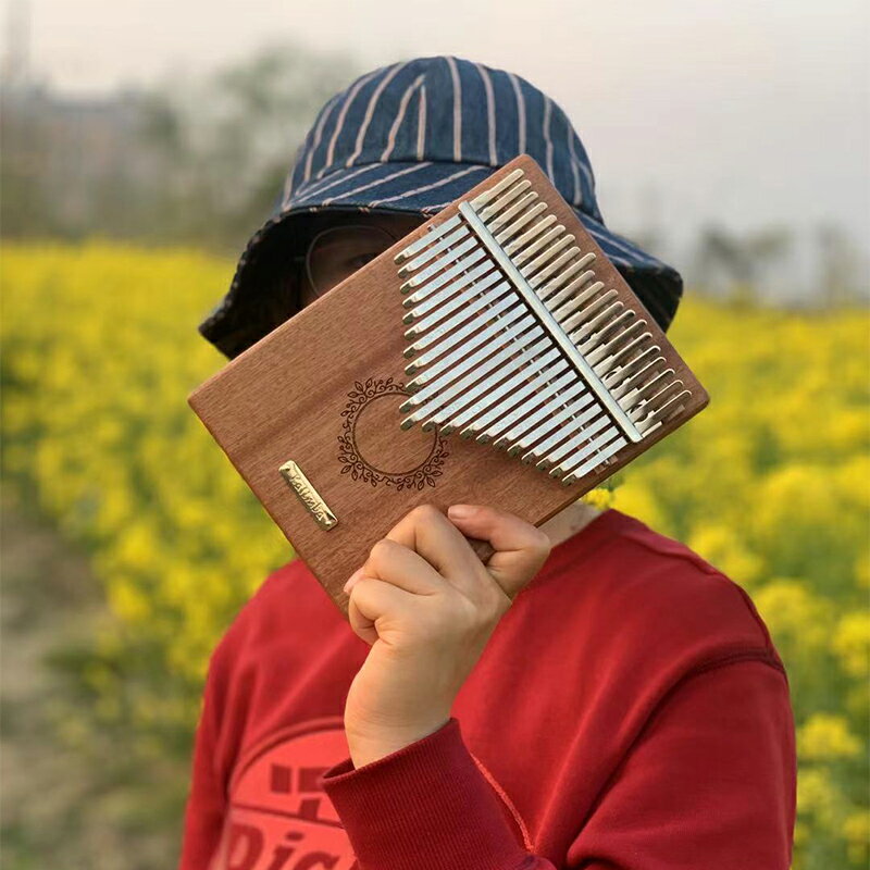 手指琴 卡林巴琴 木製琴盒卡林巴kalimba拇指琴兒童手指琴初學簡單17音21箱板式【HZ72860】