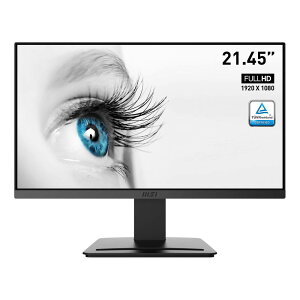 MSI 微星 PRO MP223 22型 FHD/100Hz/1MS 護眼窄邊框螢幕 寬視角窄邊框顯示器