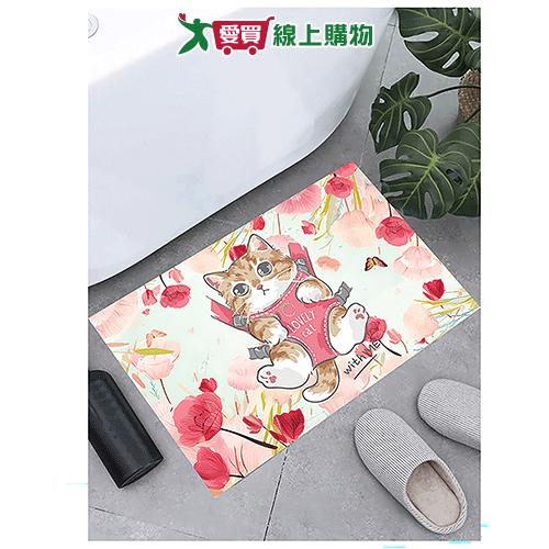 迪歐療癒吸水踏墊 墊子 地墊 止滑 防滑墊【愛買】