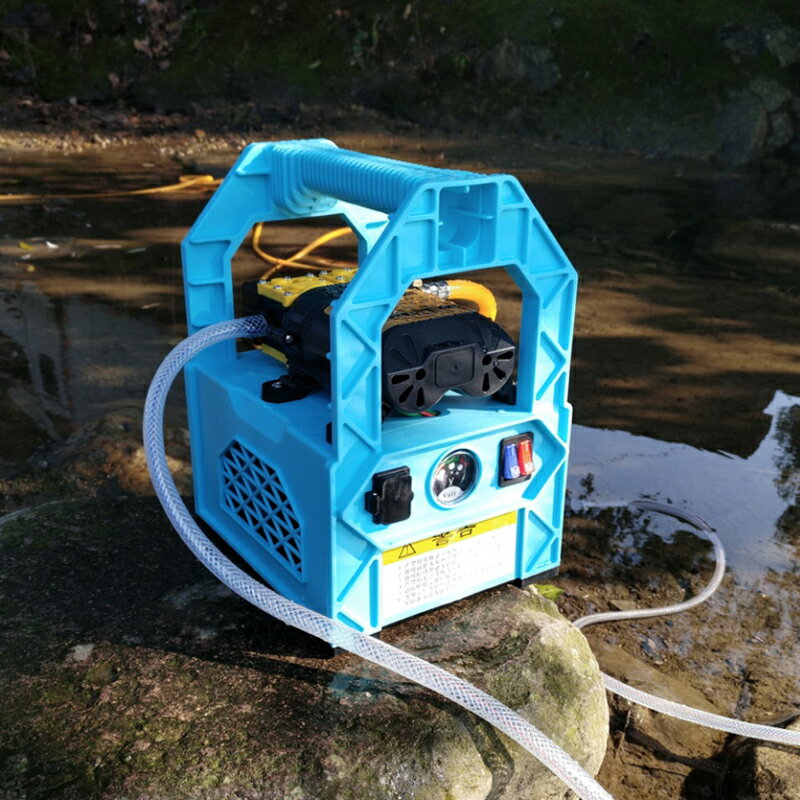 洗車高壓雙泵手提式便攜電動噴壺小型噴霧器澆水打藥泵充電多功能