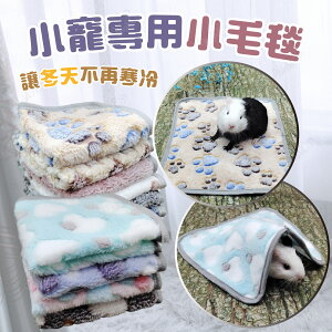 小寵珊瑚絨毯 小寵珊瑚絨 小寵毛毯 寵物毯 法蘭絨毯 小寵被窩 睡毯 保暖小寵毯 小寵毛毯【231109】