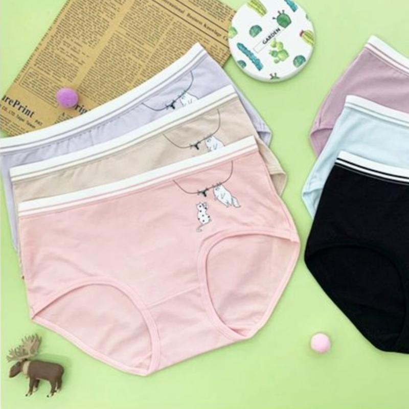 馬卡龍色有機棉可愛貓咪內褲 中腰 F碼 938 6