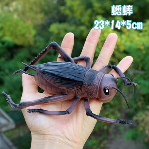 大號兒童玩具仿真動物昆蟲模型擺件蟋蟀瓢蟲蜘蛛蝎子蟲子男孩塑膠【四季小屋】