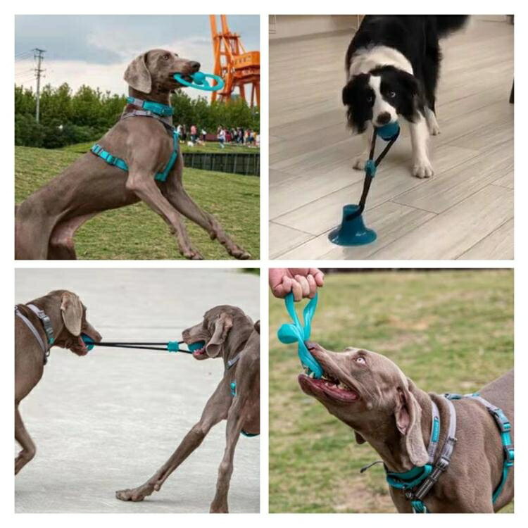 狗狗吸盤玩具金毛大狗磨牙耐咬球型幼犬拉力互動玩具發泄寵物用品 1