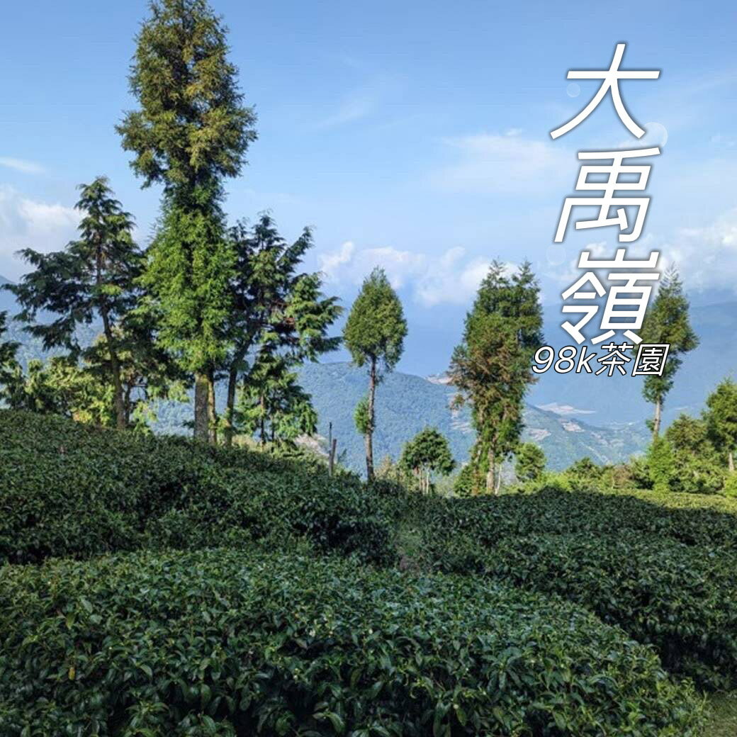 台灣 大禹嶺 98k茶園  雪藏烏龍 共2包/150g(直送日本) 4