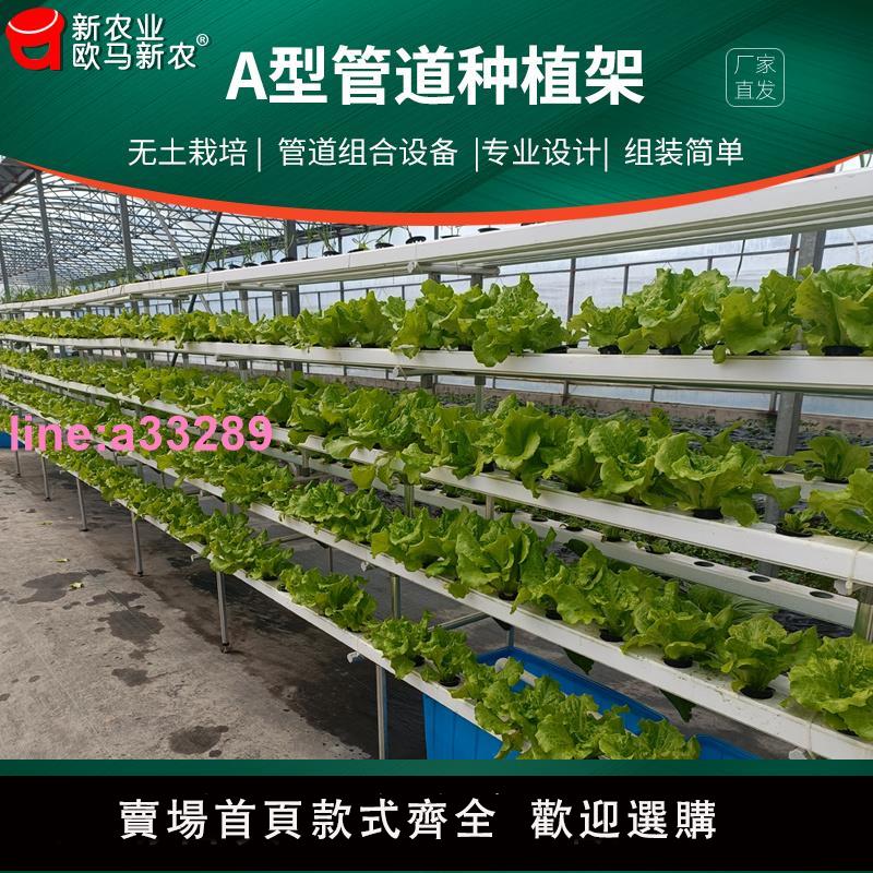 {可開發票}無土栽培裝置植物工廠展示樓頂水培管道式葉菜蔬菜瓜果A型種植架