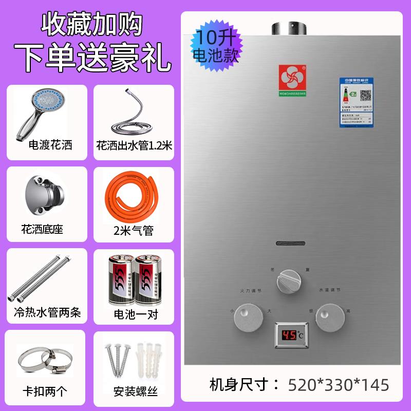 燃氣熱水器家用煤氣液化氣天然氣強排6/8升10升12/16升銅速熱恆溫