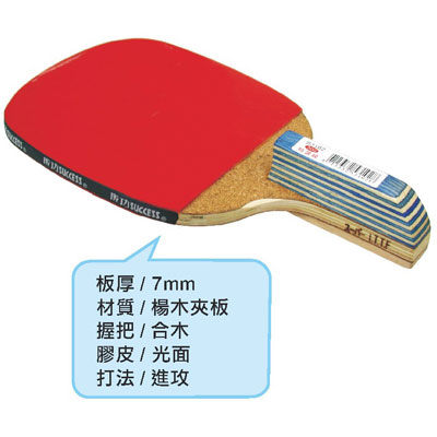 成功 S3102 正手柄特選級桌拍 (初學級)