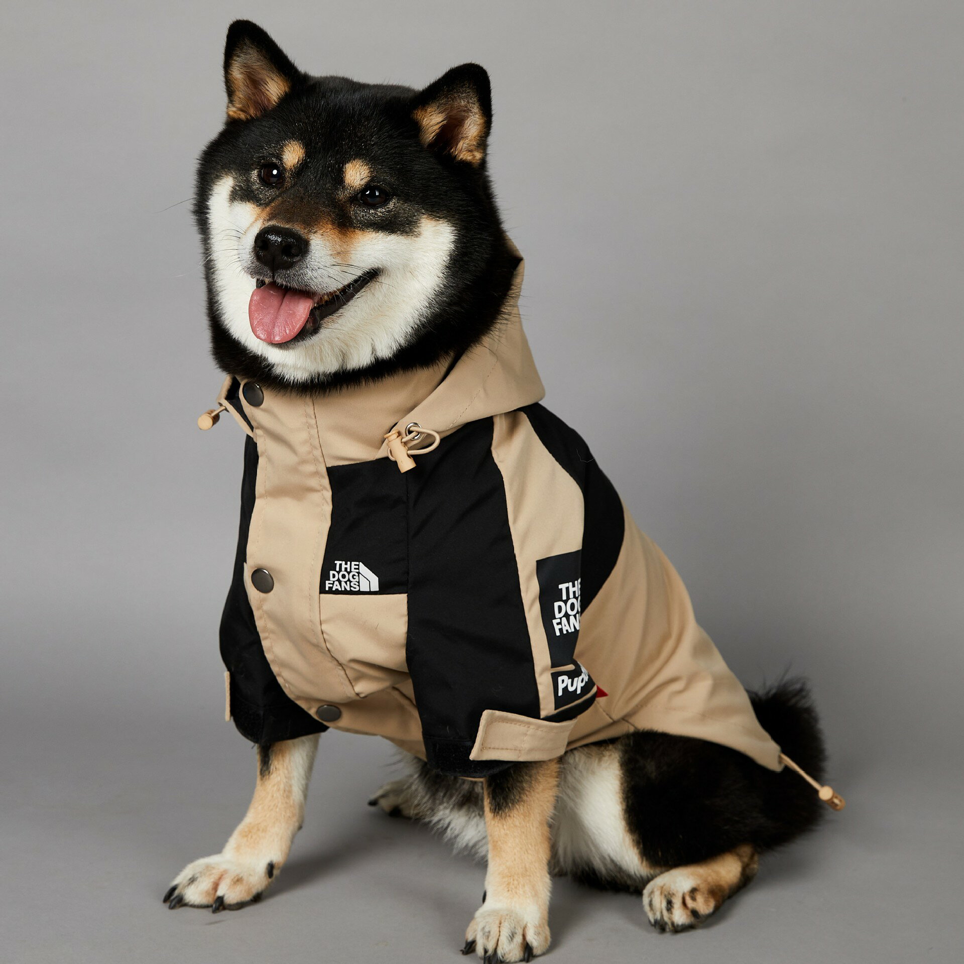 狗狗寵物沖鋒衣狗面潮牌防風防雨新款柴犬柯基邊牧中大型犬雨衣