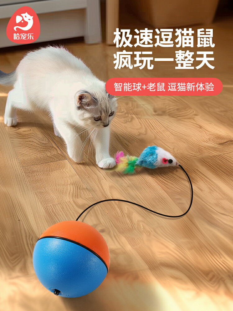 貓玩具 逗貓玩具 自動逗貓貓玩具自嗨解悶消耗體力老鼠逗貓棒貓運動電動自動逗貓球貓咪用品【HZ74006】