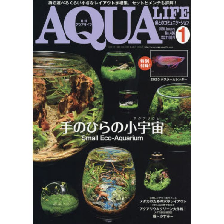 AQUA LIFE  1月號2020附2020年海報月曆 | 拾書所