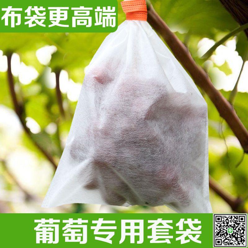 無紡布葡萄套袋水果加厚防蟲防水防雨桃子梨子一次性防鳥果袋套袋-UM.有米家居