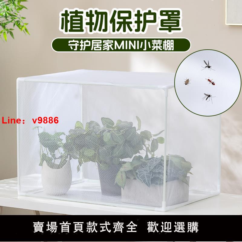 【臺灣公司 可開發票】植物防蟲防鳥網罩藍莓草莓防鳥罩戶外陽臺種菜菜園育苗保護罩定製