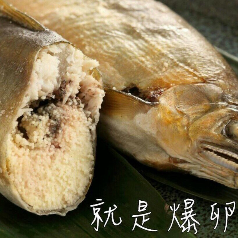 臺灣爆卵母香魚(單尾)