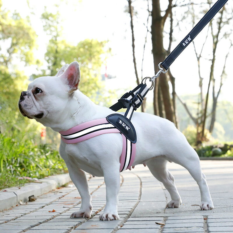 法斗狗繩寵物三角胸背帶巴哥柯基雪納瑞背心式牽引繩中小型犬用品