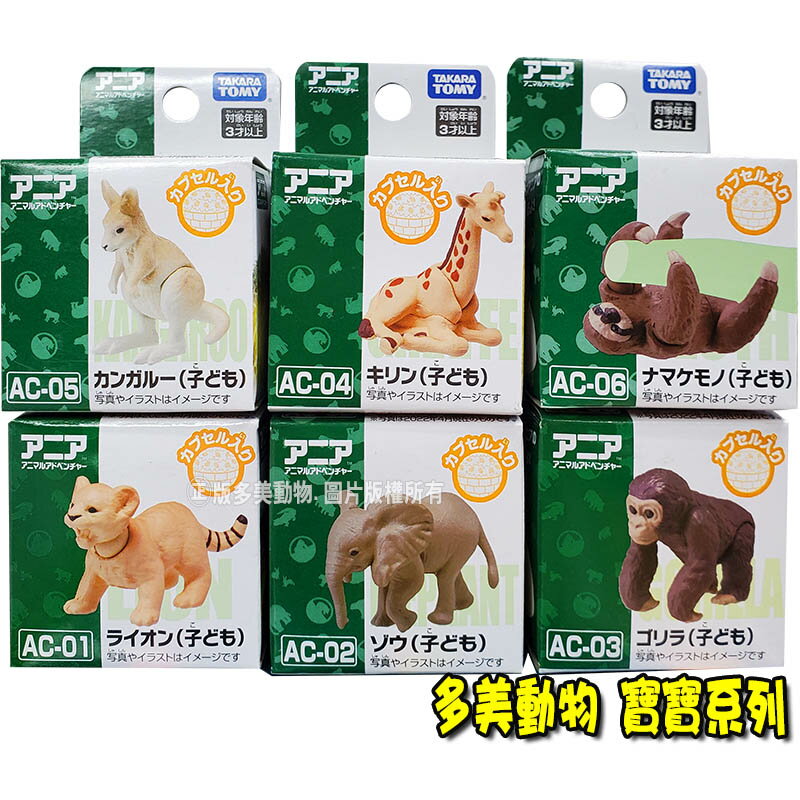 【Fun心玩】AN20611~15 AN20589 正版 多美 獅子 大象 猩猩 袋鼠 樹懶 長頸鹿 動物 寶寶 模型