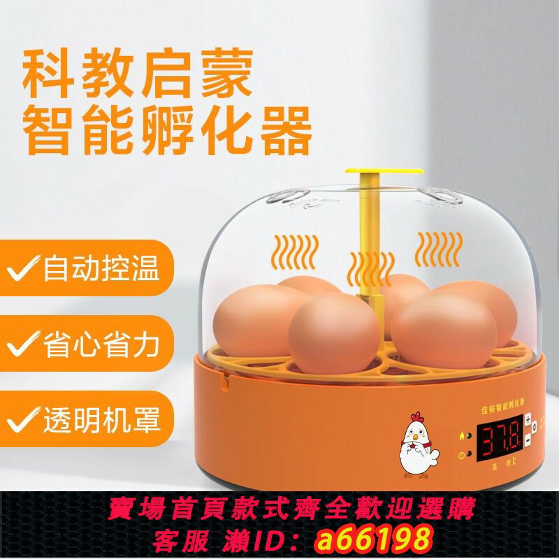 【臺灣公司 可開發票】【3326人好評】迷你孵蛋器4-6枚雞蛋孵化器小型家用全自動兒童智慧小雞孵化機