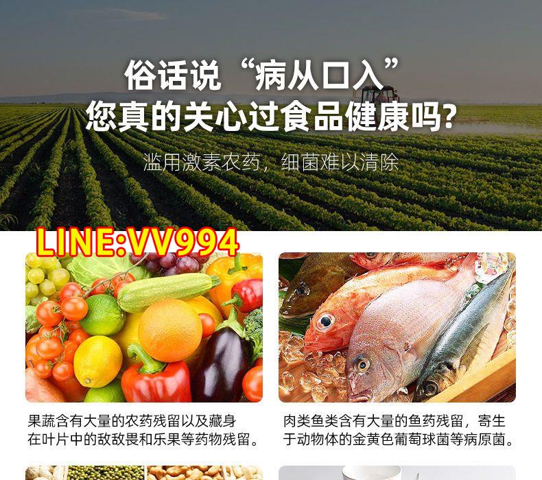 特價✅可開統編果蔬凈化器解毒機家用洗菜消毒神器 小型便攜式去農殘果蔬清洗機