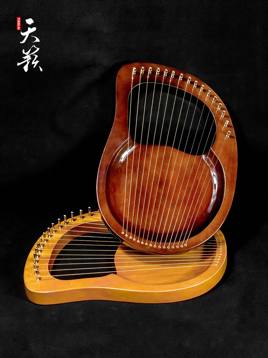萊雅琴 伯朗小豎琴19弦萊雅琴箜篌小眾樂器便攜式小型簡單易學lyre里拉琴 【CM3388】
