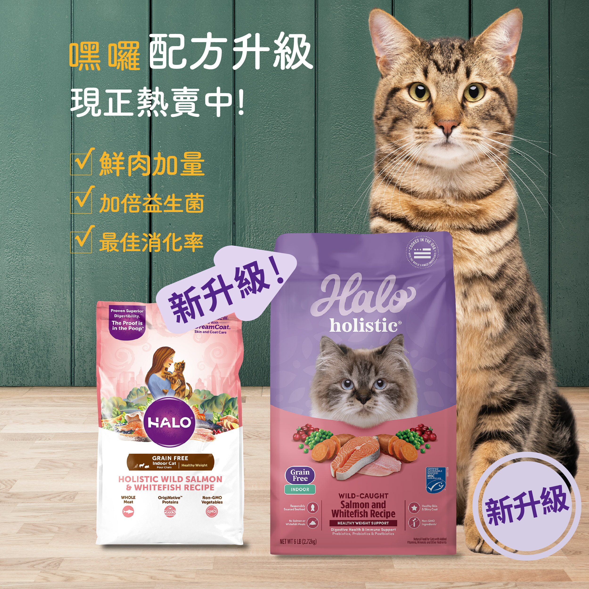 【領券85折+免運】Halo 嘿囉 無穀貓飼料 幼貓 成貓 貓糧 貓飼料 無穀 升級 貓乾糧 WDJ推薦 全系列