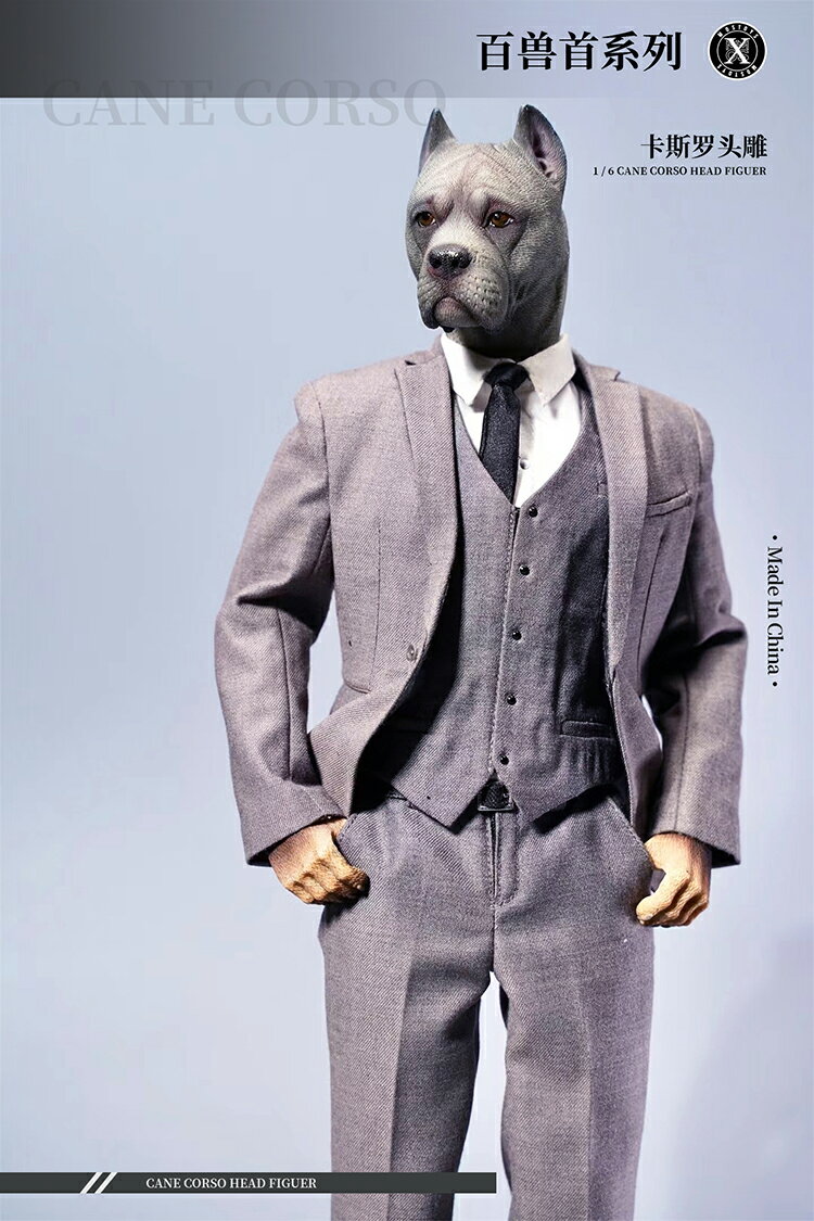 Mostoys 1/6卡斯羅頭雕動物模型可動搭配兵人/偶模擬雕塑手辦潮玩