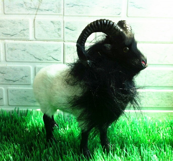 定做動物模型 仿真藏羊 山羊 綿羊寵物玩具 攝影教科道具器材