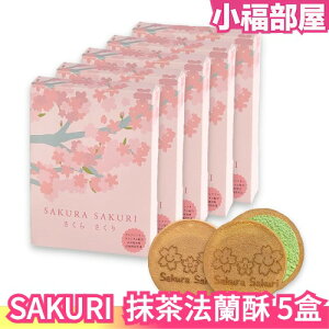 日本 SAKURA SAKURI 抹茶法蘭酥 5盒 送禮 櫻花 可愛 抹茶 法蘭酥 高級抹茶【小福部屋】