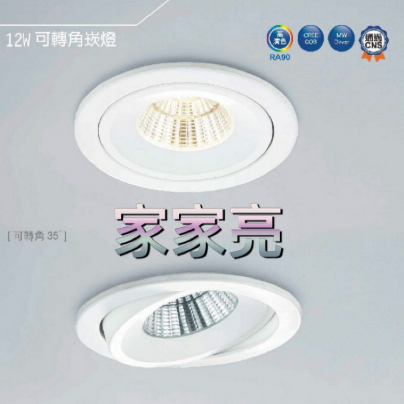 (A Light) 舞光 LED COB 12W 9cm 可轉角崁燈 高演色 可調角度 崁燈 筒燈 CREE 9公分 90mm