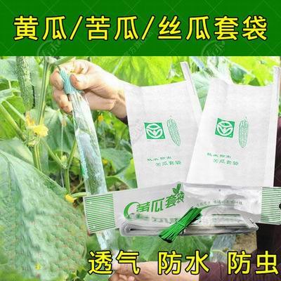 【黃瓜套袋-寬6.5*40cm-100個/捆-2捆/組】蔬菜水果套袋防水防蟲塑膠保護袋(送紮絲)-5101030