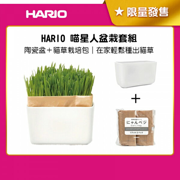 《HARIO》喵星人盆栽套組(PTS-NKCN-2P-SH)貓咪專用 居家療癒小物