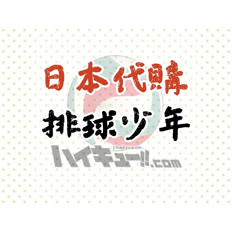 日本代購 排球少年Ensky 動畫TOP Lame Kira胸針收藏 閃亮徽章 收藏全10種 預訂品 預購2024年8月 2