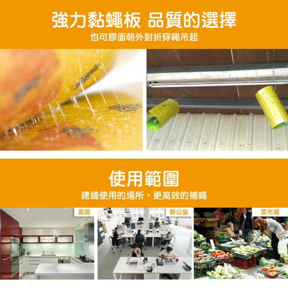 【尚介黏】果香蠅紙板(五張入) 黏繩紙 4