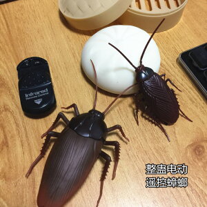 遙控玩具假蟑螂電動兒童仿真動物男孩網紅惡作劇貓老鼠會動的昆蟲 全館免運