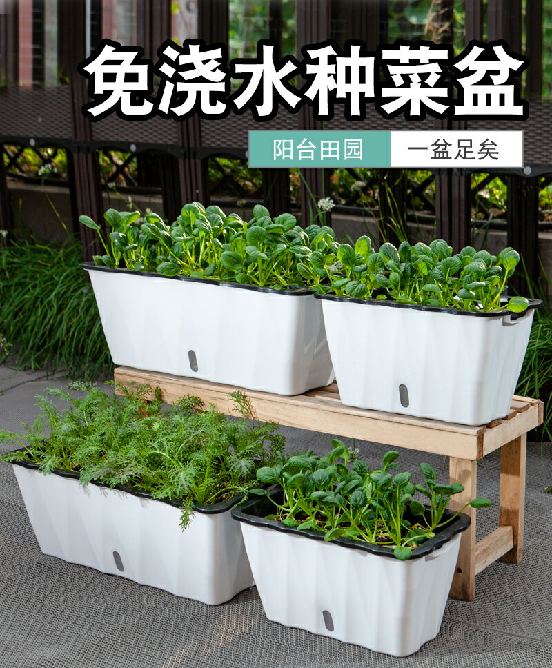 種菜盆 自動吸水花盆種菜神器家庭陽臺長方形懶人花槽塑膠種植箱蔬菜盆栽
