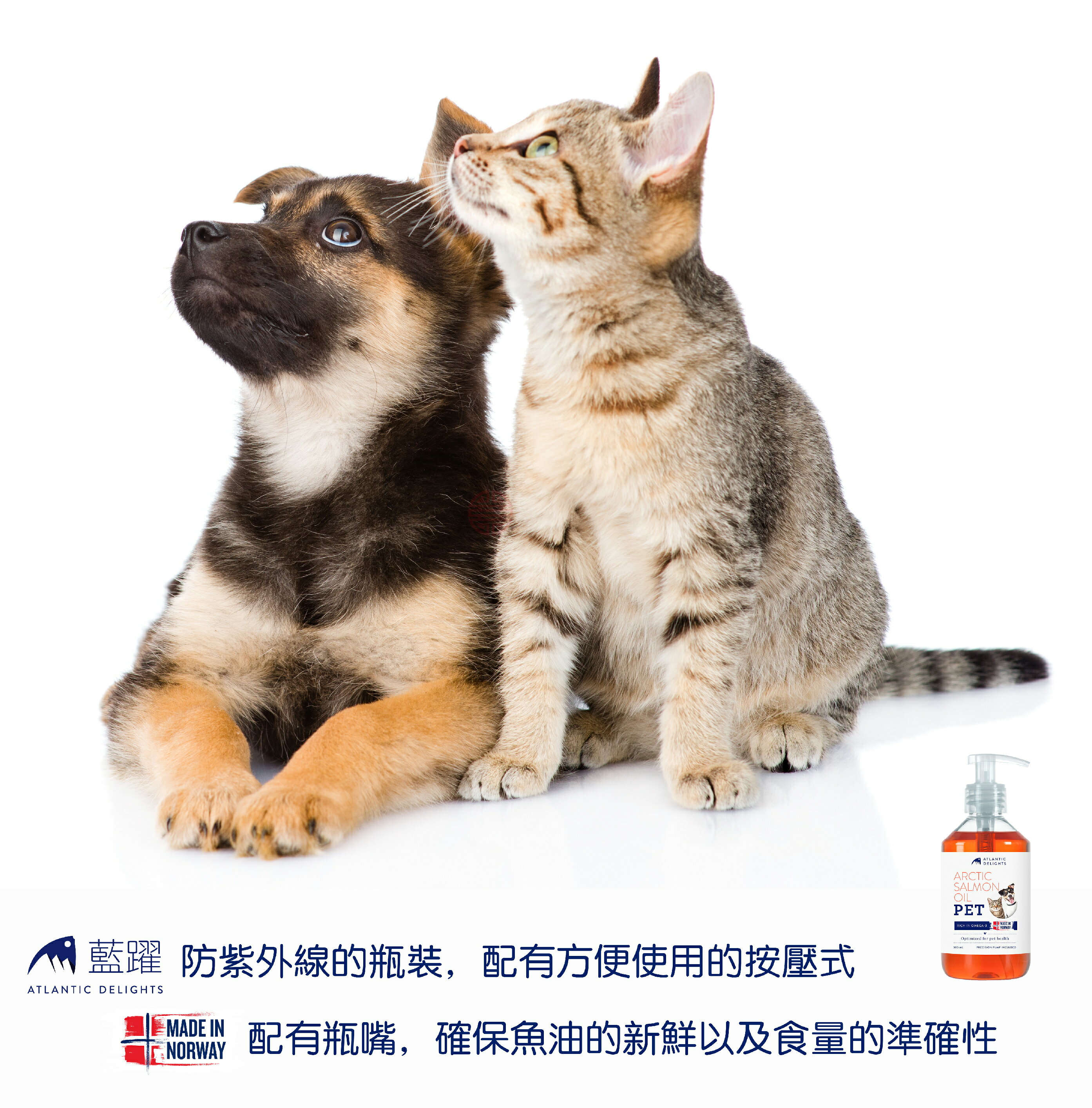 特定商品10%回饋 免運費 藍躍 挪威全天然鮭魚油 300ml 犬貓適用 6