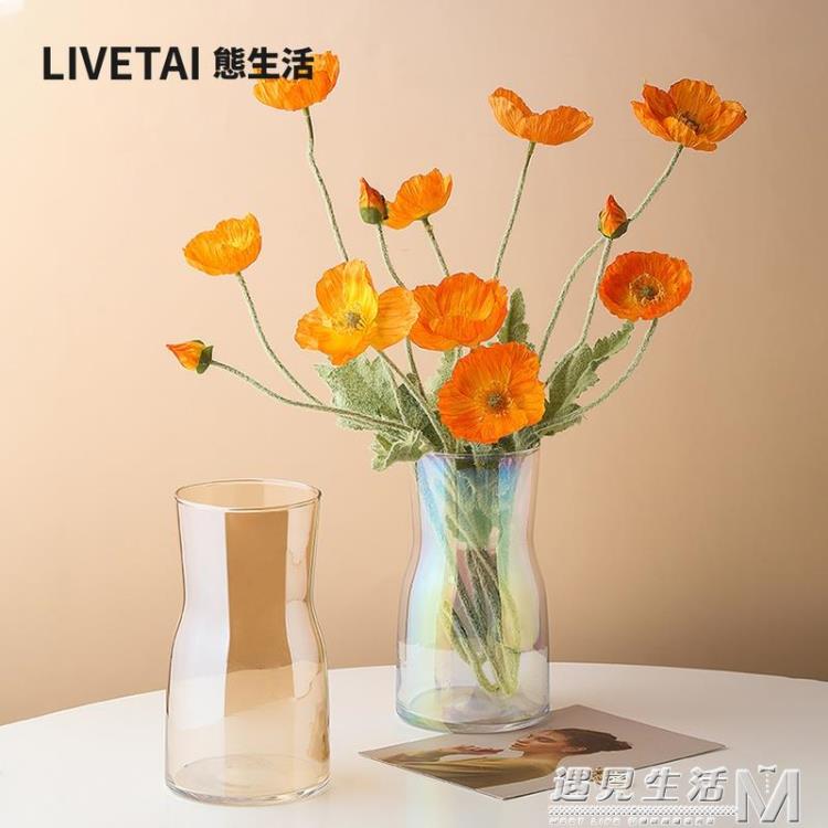 北歐ins炫彩透明玻璃花瓶鮮花插花瓶擺件客廳水養水培花器 99購物節