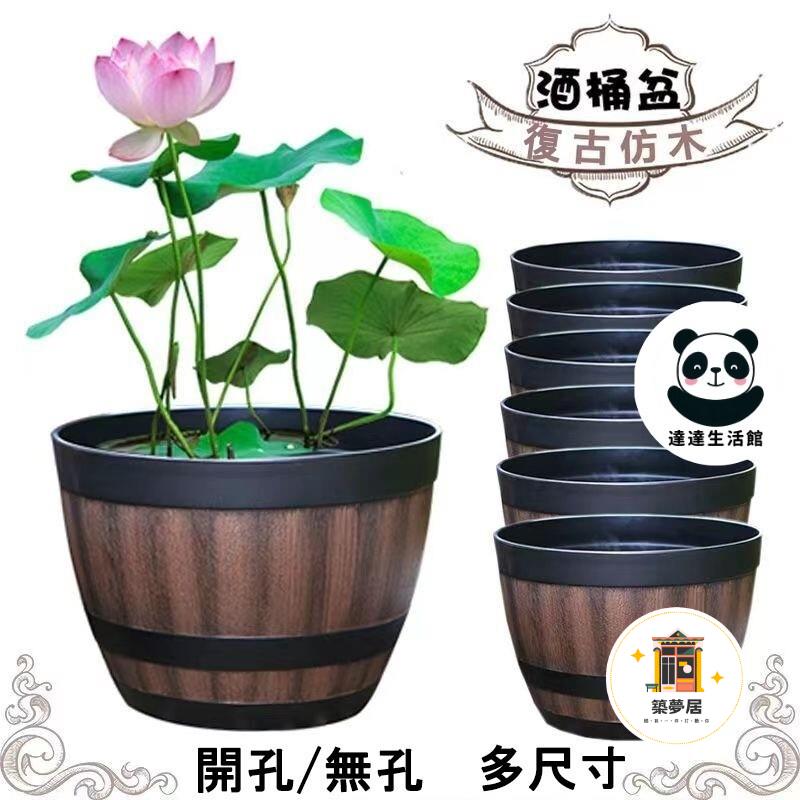 大型荷花缸的價格推薦- 2026年7月| 比價比個夠BigGo