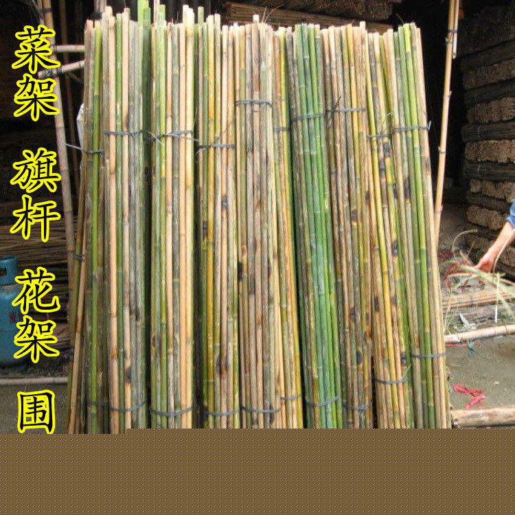 【滿500出貨】菜園竹竿種菜黃瓜爬藤支架彩旗桿小竹子棍豆角架菜園搭架柵欄裝飾【甄選優品】 5