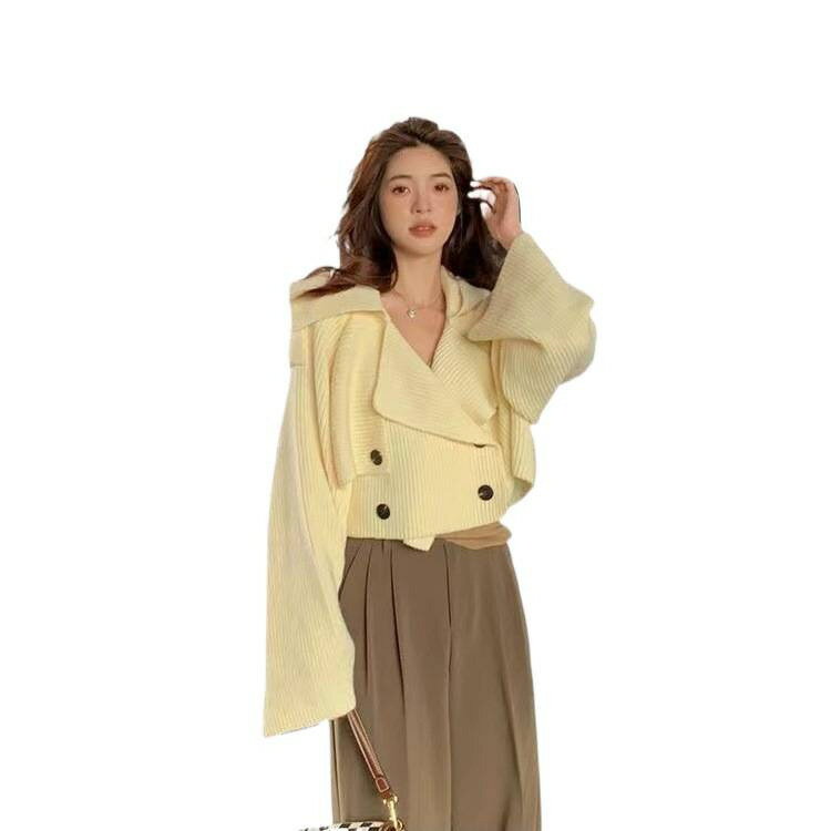 女裝 外套 韓系風 氣質上衣 韓版   女裝秋套裝設計感毛衣女新款秋季慵懶風別緻短款洋秋冬季女裝 治裝激推 1