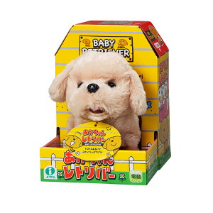 《日本 IWAYA》寵物 甜甜屋 黃金獵犬 東喬精品百貨