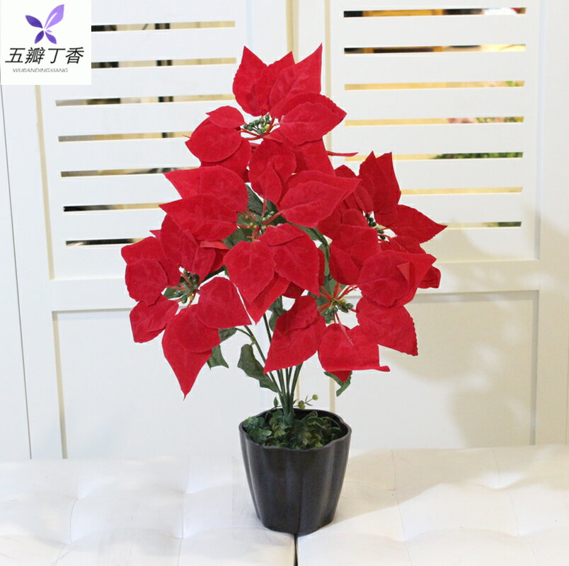 一品紅仿真花植物盆栽花壇裝飾假花塑膠花盆景擺設客廳臥室桌擺花