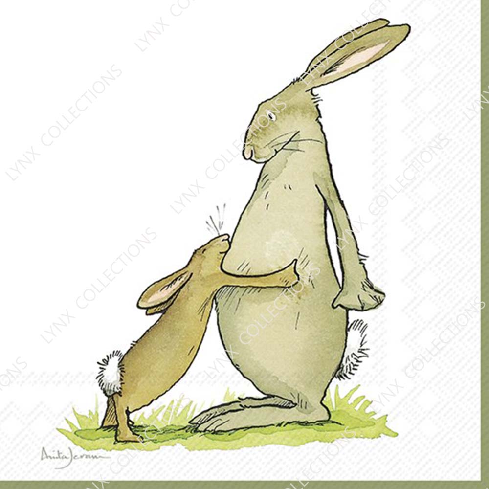 德國IHR 餐巾紙(33x33cm)插畫系列