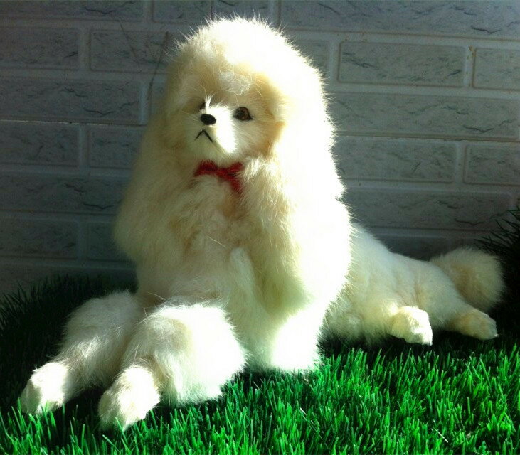 動物模型模擬貴賓犬 貴婦狗 大號寵物狗玩具攝影教科道具裝飾