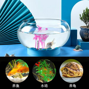 花盆透明造景小魚缸玻璃圓形加厚帶花邊荷花觀賞植物烏龜水族箱金