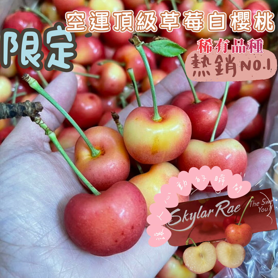 【緁迪水果JDFruit】限量手採草莓白櫻桃超大果 -頂級手採草莓白櫻桃·高級進口禮盒 l送禮推薦