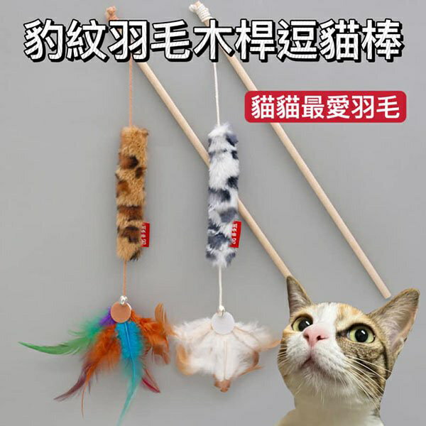 『台灣x現貨秒出』豹紋羽毛木桿逗貓棒 羽毛逗貓棒 鈴鐺逗貓棒 寵物玩具 逗貓 貓玩具