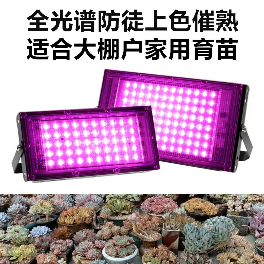 LED植物燈/植物生長燈 LED多肉植物專用補光燈家用全光譜大棚育苗蔬果花卉生長燈太陽光『XY39776』
